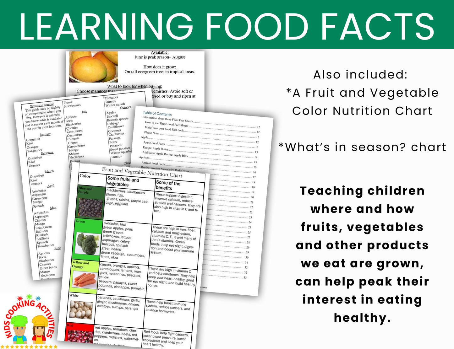 Learning about Food Facts- Info on Fruits, Vegetables, Grains, Dairy & Meat -Digital Download