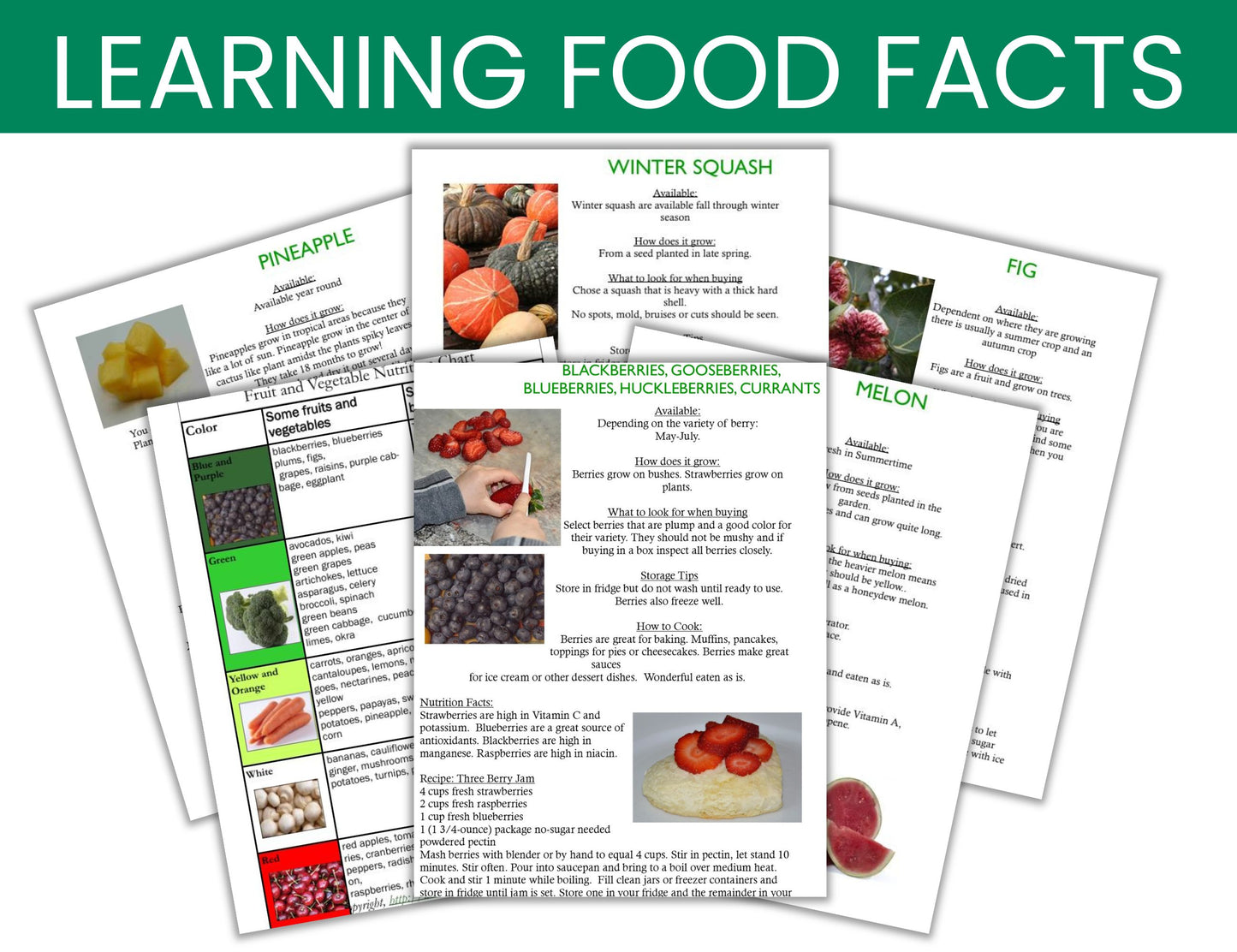 Learning about Food Facts- Info on Fruits, Vegetables, Grains, Dairy & Meat -Digital Download