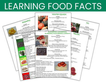 Learning about Food Facts- Info on Fruits, Vegetables, Grains, Dairy & Meat -Digital Download