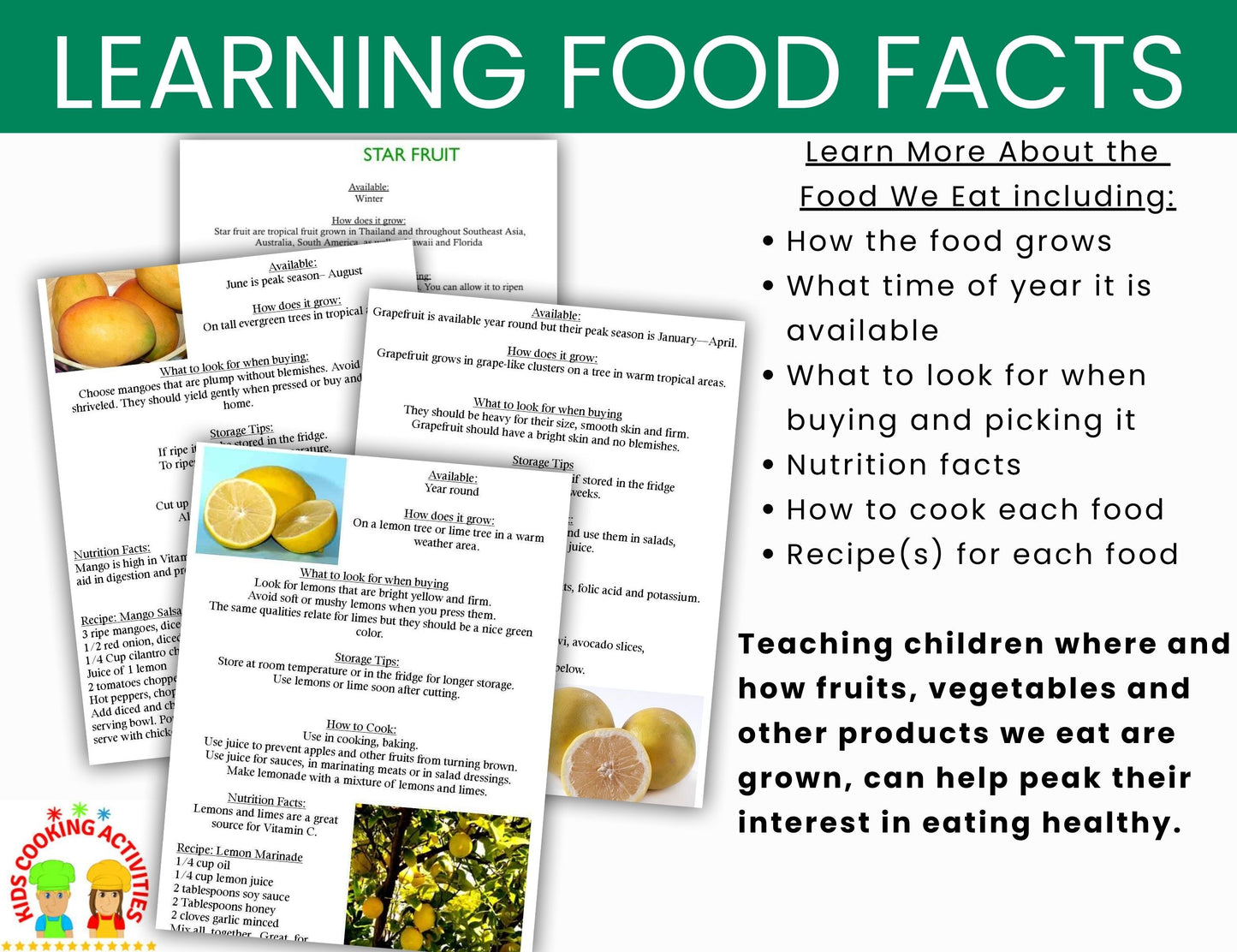 Learning about Food Facts- Info on Fruits, Vegetables, Grains, Dairy & Meat -Digital Download