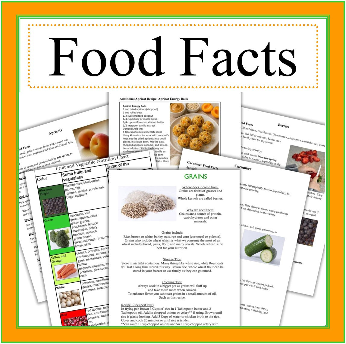Learning about Food Facts- Info on Fruits, Vegetables, Grains, Dairy & Meat -Digital Download