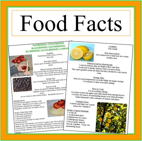 Learning about Food Facts- Info on Fruits, Vegetables, Grains, Dairy & Meat -Digital Download